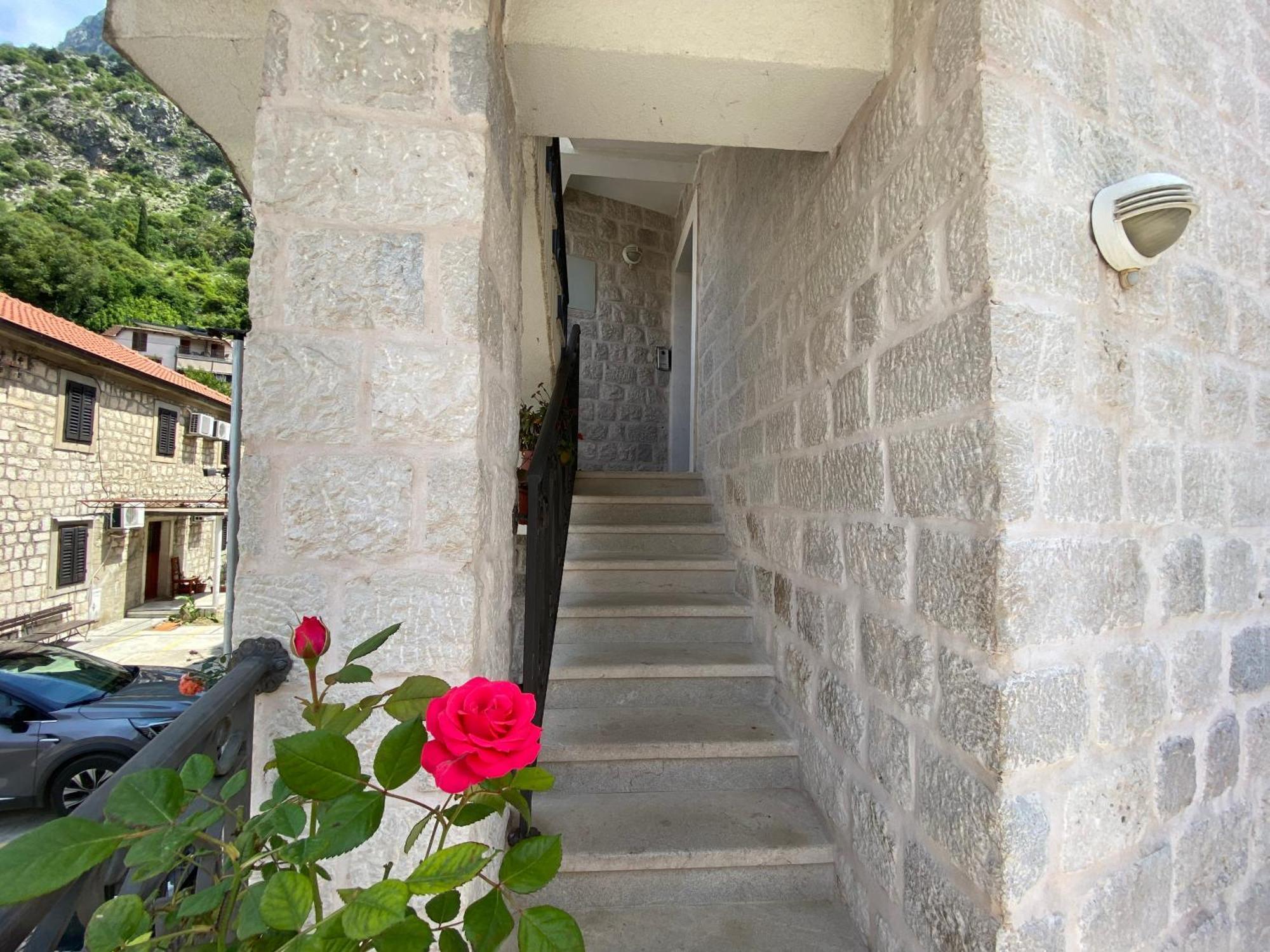 Fiumera Kotor Apartment Εξωτερικό φωτογραφία