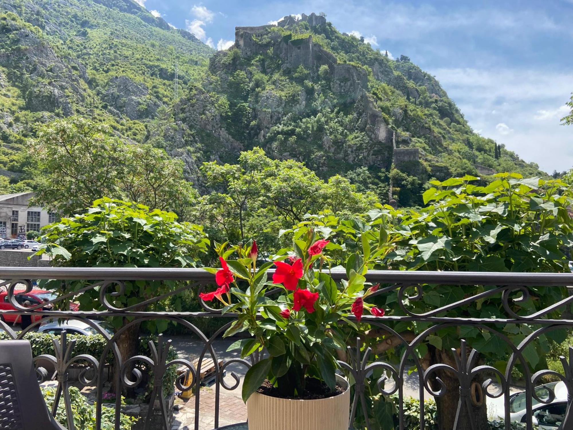 Fiumera Kotor Apartment Εξωτερικό φωτογραφία