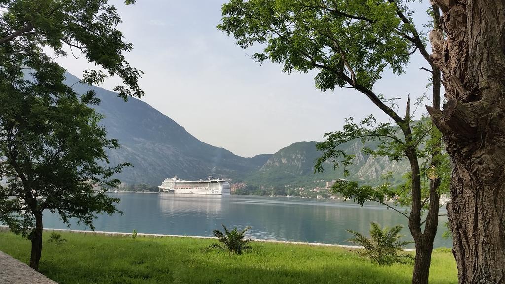 Fiumera Kotor Apartment Δωμάτιο φωτογραφία